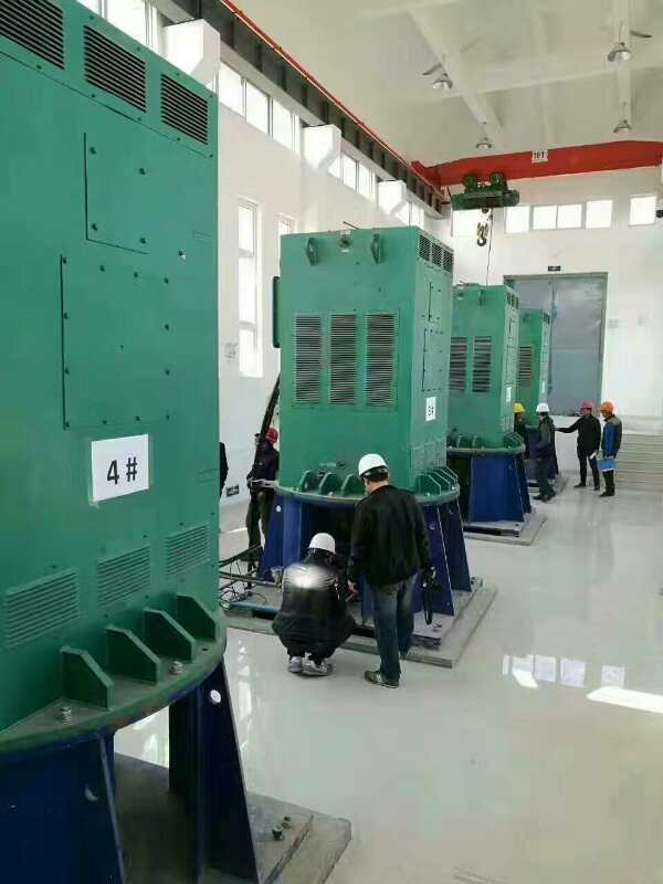 勐海某污水处理厂使用我厂的立式高压电机安装现场
