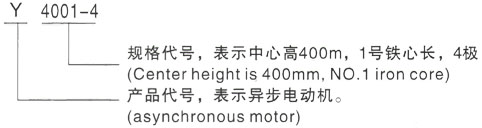 西安泰富西玛Y系列(H355-1000)高压勐海三相异步电机型号说明
